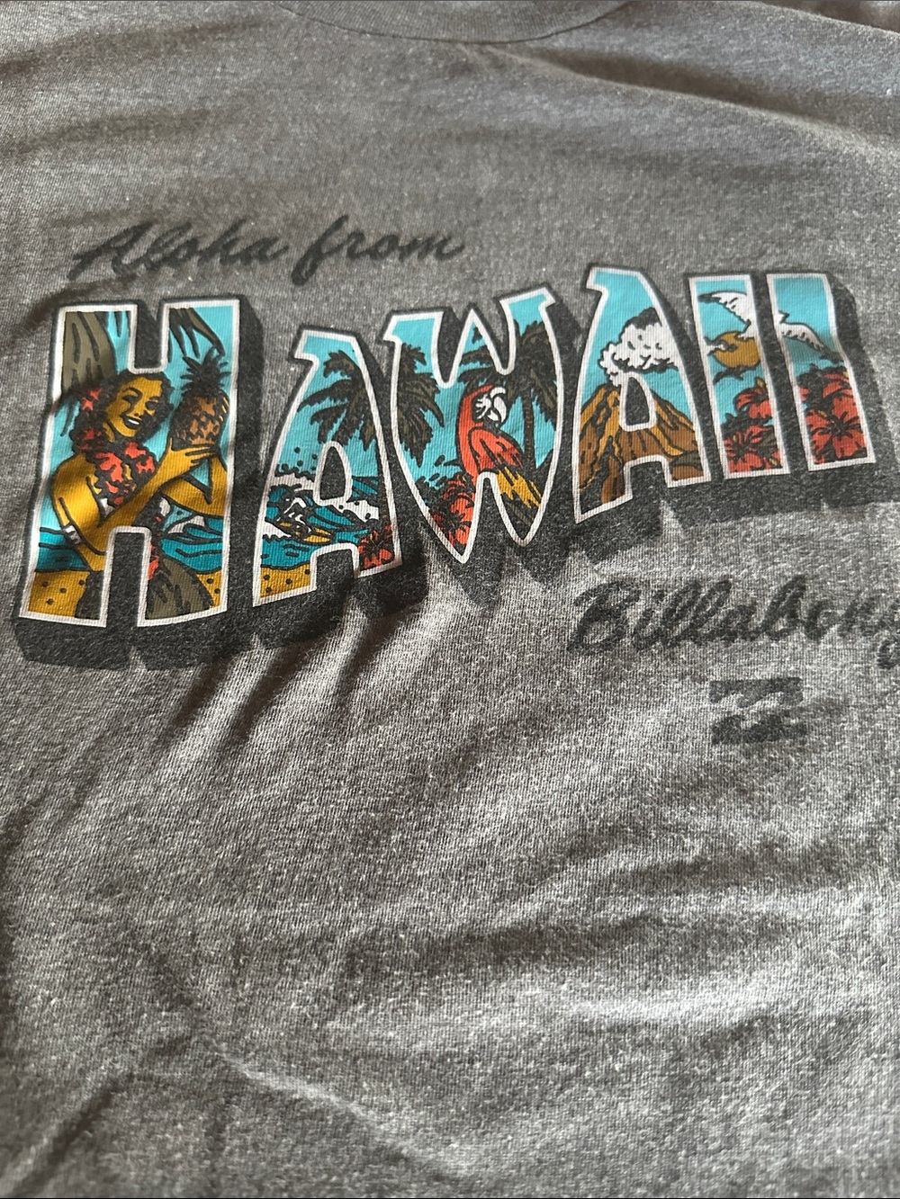 Aloha From Hawaii Vintage Graphic Tee - Gray with Tropical Multi-Color Print